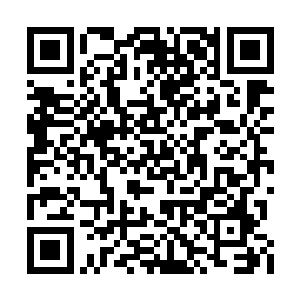 梓箐现在可不是半年前那个弱柳扶风的小娇娘了二维码生成