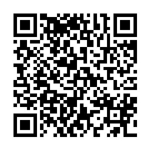 梓箐甚至以为那个苏佳怡就是她自己的本体的灵魂回归了二维码生成