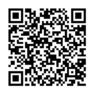 梓箐用两天的时间将整个张府上下全熟悉了一遍二维码生成