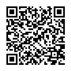 梓箐的本体属性值就已经相当于中阶异能者的水平二维码生成