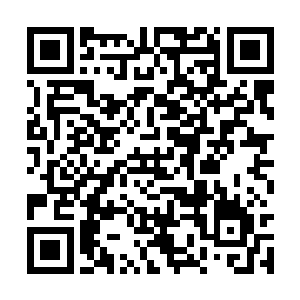 梓箐的神识中就感应到设置在边境的信号被触动了二维码生成