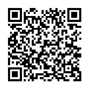 梓箐看到一个穿着围裙戴着手套帽子口罩的女子朝自己走来二维码生成