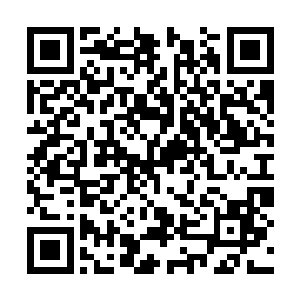 梓箐看到在剧情介绍下面就出现了委托者的属性值二维码生成