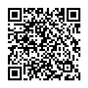 梓箐知道自己能够跟全国的武术冠军学习是非常难得的机会二维码生成