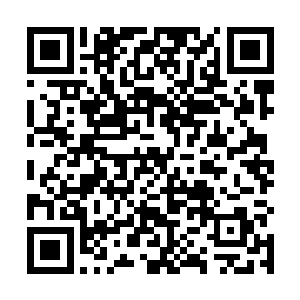 梓箐终于将当时在比试长上收的花灵在识海中全部炼化二维码生成