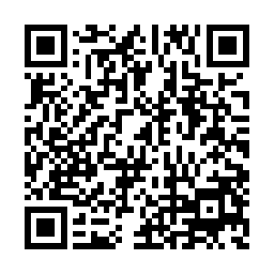 梓箐终于看到了吴静怡和刘成两人从轰轰烈烈的二维码生成