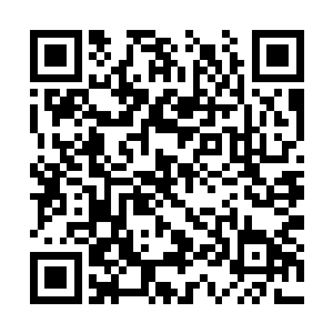梓箐脑海中响起自己进入主神空间听到的第一句话二维码生成