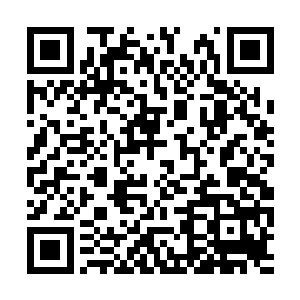 梓箐脑海中回放这前几个玩家为原主逆袭时的作为二维码生成