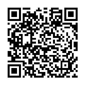 梓箐虽然有点吐槽女主的成长路都是那些女配们给她铺垫的二维码生成