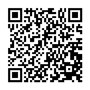 梦到那些我千方百计想要忘记结果还是会出现的脸二维码生成