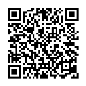 梦无真万万没有想到叶笑……竟然有这样的野心二维码生成