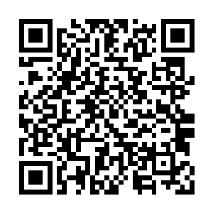 梦见他和默周围一天到晚都跟着四五六个小孩子二维码生成