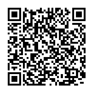 梦魇中都不会出现的怪物突然降临在元始文明掌控的星系外围开始二维码生成