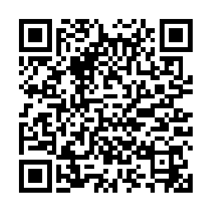 梦魇和暗水仙帝还有冰帝等高手也全都做好了战斗准备二维码生成