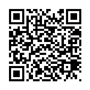 梧桐树传说中仅次于三大神树的灵树二维码生成