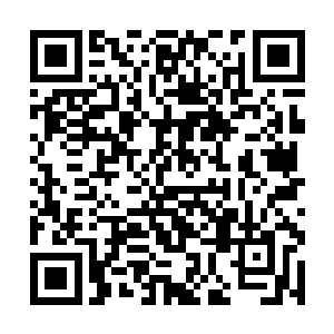 梧桐苑里却有一大把俏婢争抢着给世子殿下朗读典籍二维码生成