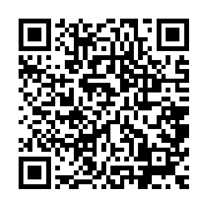 梨花便带着那四名白衣轿夫再次抬着座撵错过了慕容玥的身子二维码生成