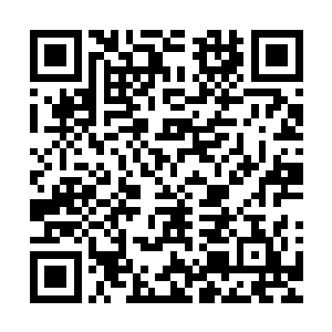梨花儿说的多是在家学习针线照顾两个弟弟帮母亲做家务的事二维码生成