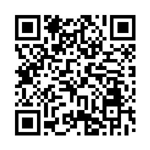 梳理自己在图腾塔之中得到的法则碎片二维码生成