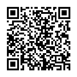 梵天灵王猜测韩风定有什么强有力的底牌从未在他面前施展过二维码生成