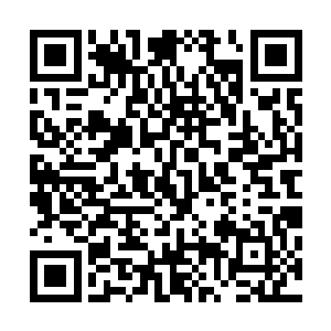 梵尼娅终于找到了多元宇宙中唯一可以克制荒野之神的东西二维码生成