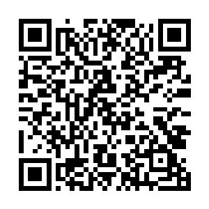 梵尼娅需要一件经历过巫师之神神力洗礼的神器作为媒介二维码生成