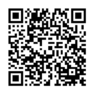检举信上写明了益杨土产公司为了什么事情求助于马有财二维码生成