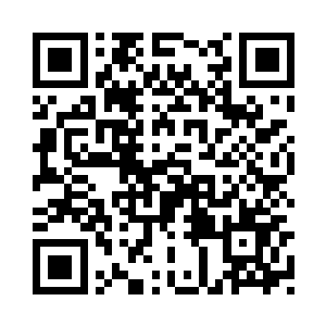 检查了一下在混沌之气中的云宝宝二维码生成