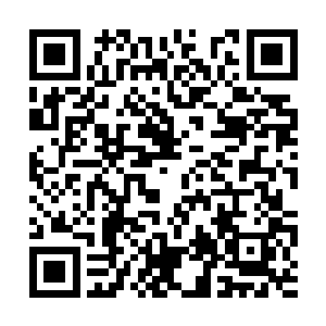 检查出来的最终结果显示母亲的身体心脏出了问题二维码生成