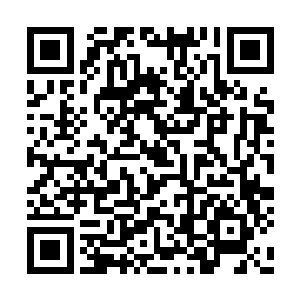 检查完身体以后用脑袋轻轻的蹭了蹭凌菲的肚子二维码生成