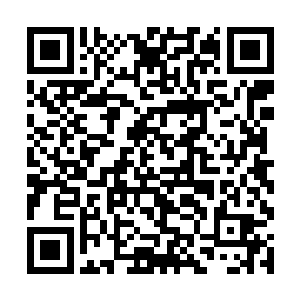 棕熊胸口流着脓血的伤口马上和他的衣服黏连在一起二维码生成