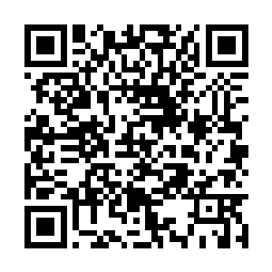 森……至尊灵兽那强横的气息也是瞬间释放了出来二维码生成