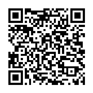 森冷骇人的杀气犹如涛飞浪卷般随着飓风卷残向蒙阳二维码生成