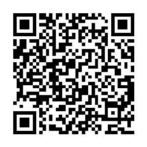 森罗万象可是能够将夏天的东西瞬间直接收走的二维码生成