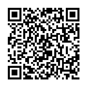 棺材改造成的培养槽对低等级士兵还是很有用的二维码生成