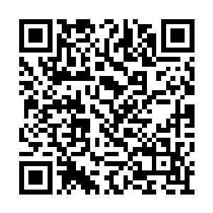 棺材盖子立马就让一股子横撞的劲气就撞起来了二维码生成