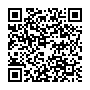 棺椁放在了刚才那尸皇站立位置不远处的一间小房子里二维码生成