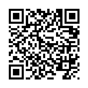 椅子上放了浅色绣花棉垫子和引枕二维码生成