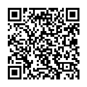 植入一颗原力结晶就相当于获得了一项神将级的能力二维码生成