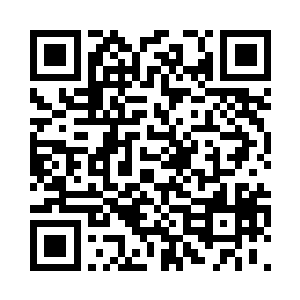 植物是世间一切生物存在进化的根本二维码生成