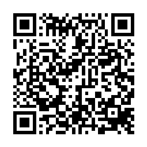 椰子会再次爆发……貌似爆发已经快成为常态了么……二维码生成