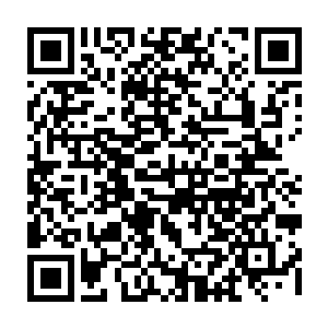 楚三看到这个平日里连金缕蚕锦精制而成的外袍都不会穿第二次的南宫二少二维码生成