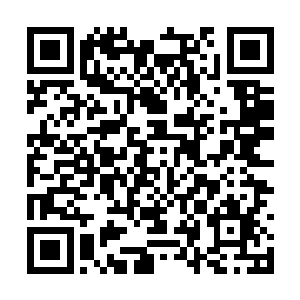 楚临自然不会现在便让这些人用神识去看木萦突破二维码生成