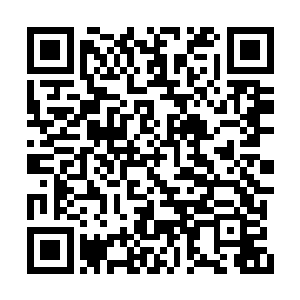 楚之晓冷冷看着云海心戏弄这些普通清扫部队的二维码生成