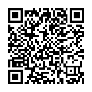 楚之晓的身体几乎分解成一缕缕四散飞扬的血丝二维码生成