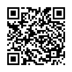 楚之晓轻轻一拍圆滚滚的蜘蛛战车二维码生成