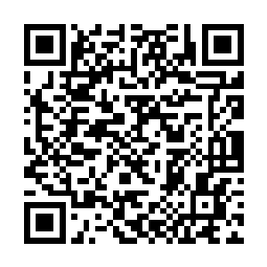 楚云等人也是没有想到消失许久的君莫会再一次出现二维码生成