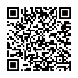 楚京从北境大军兵临城下已经整整守城三个月零十天二维码生成