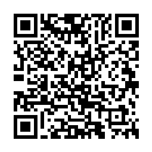 楚修零的这句话无疑让代离的希望削减了一大半二维码生成