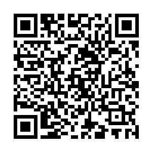 楚公子如此人才在下可不信当真在楚家没有丝毫的影响二维码生成
